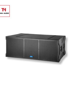 Loa Array E3 DKF-218 PRO